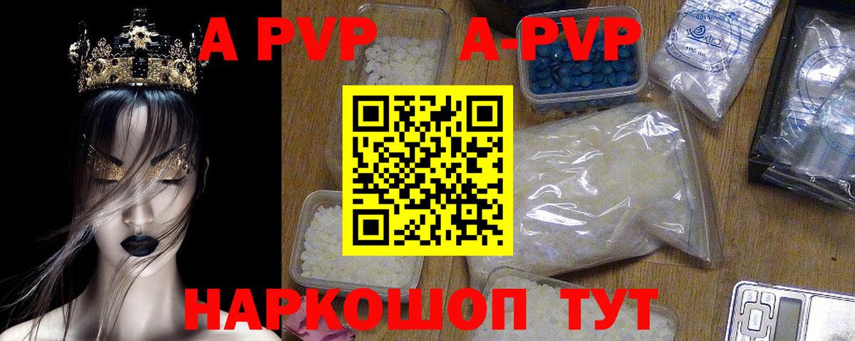 A-PVP СК КРИС Алейск