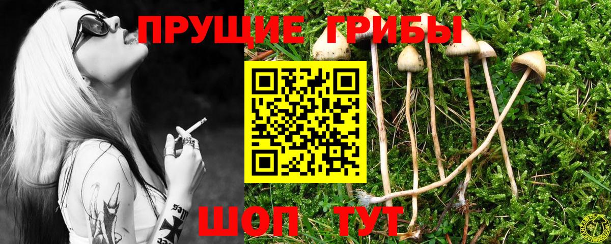 Псилоцибиновые грибы Psilocybe  Вход с VPN  Алейск  Галлюциногенные грибы Magic Shrooms 